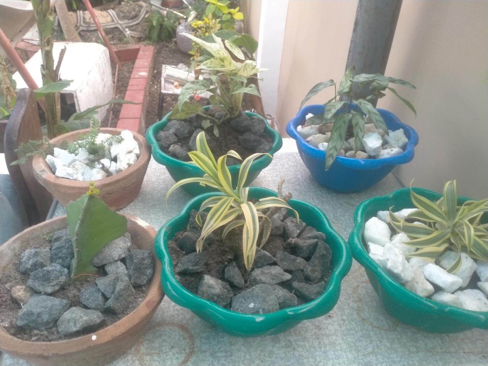 Babajay Family Home Dar es Salaam Ngoại thất bức ảnh
